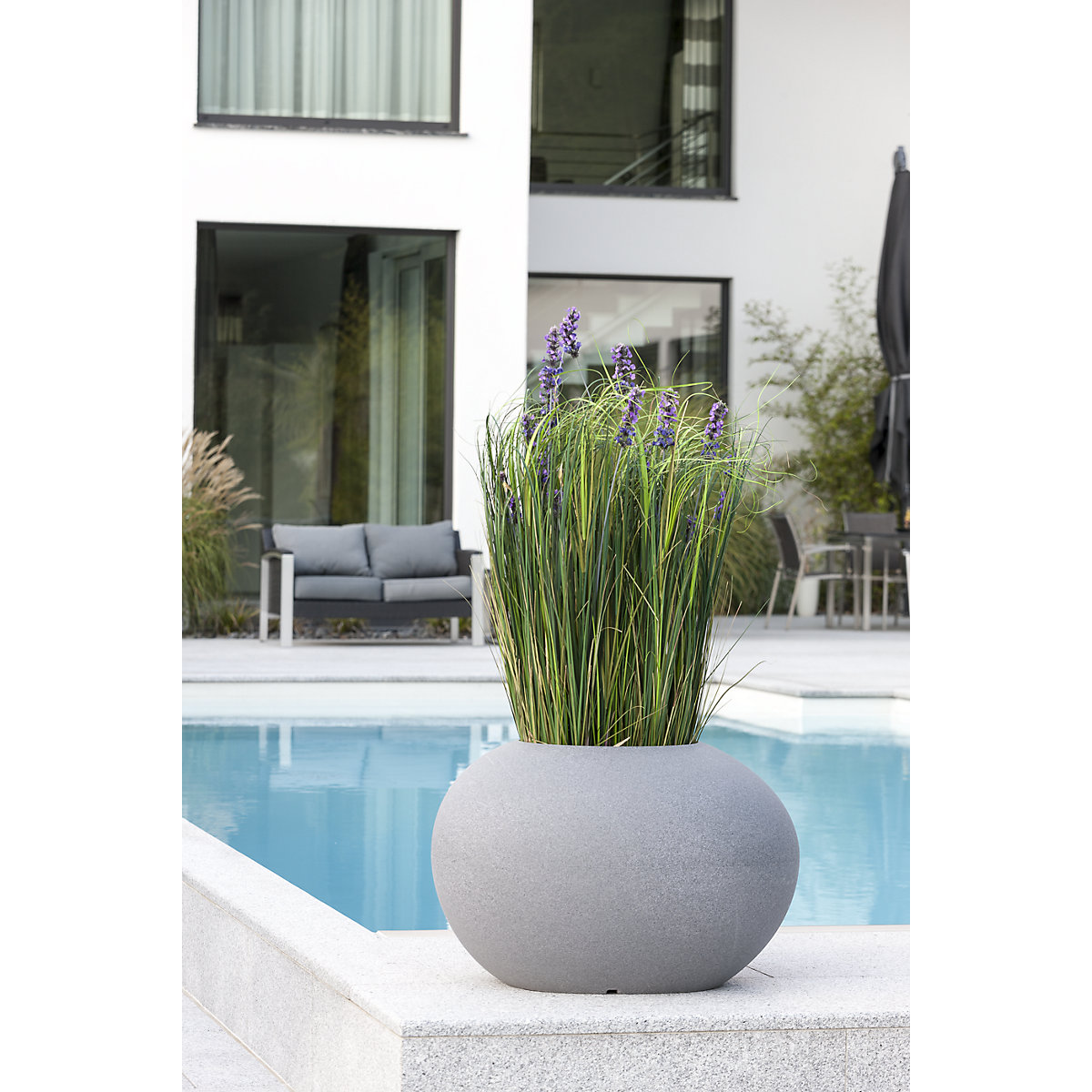 Recipiente para plantas – DEGARDO (Imagem do produto 5)-4