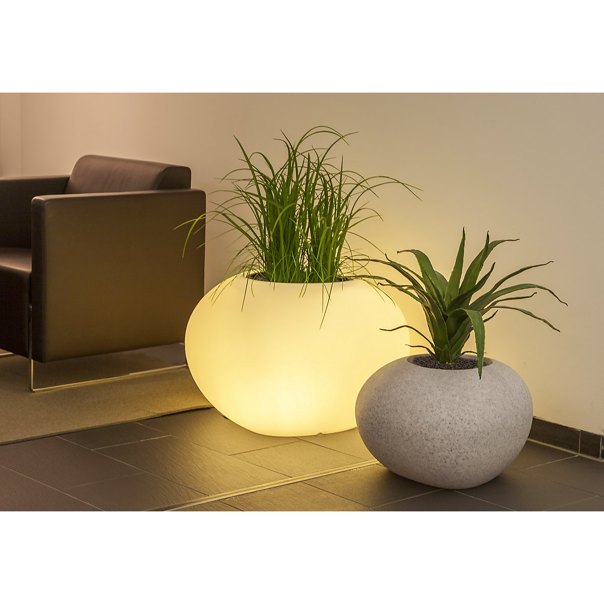 Recipiente para plantas – DEGARDO (Imagem do produto 3)-2