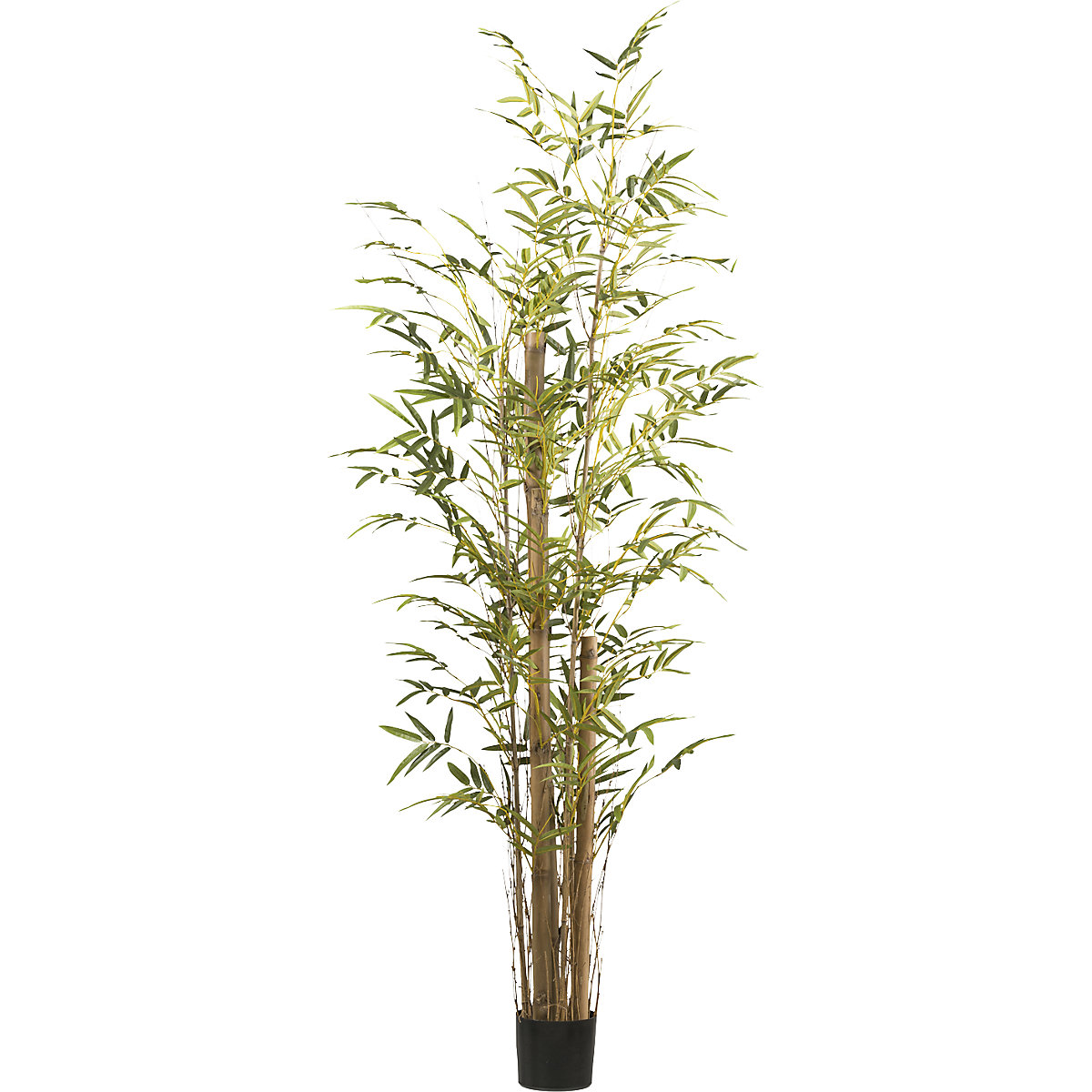 Bambusz, műanyag cserép, magasság 2200 mm-0