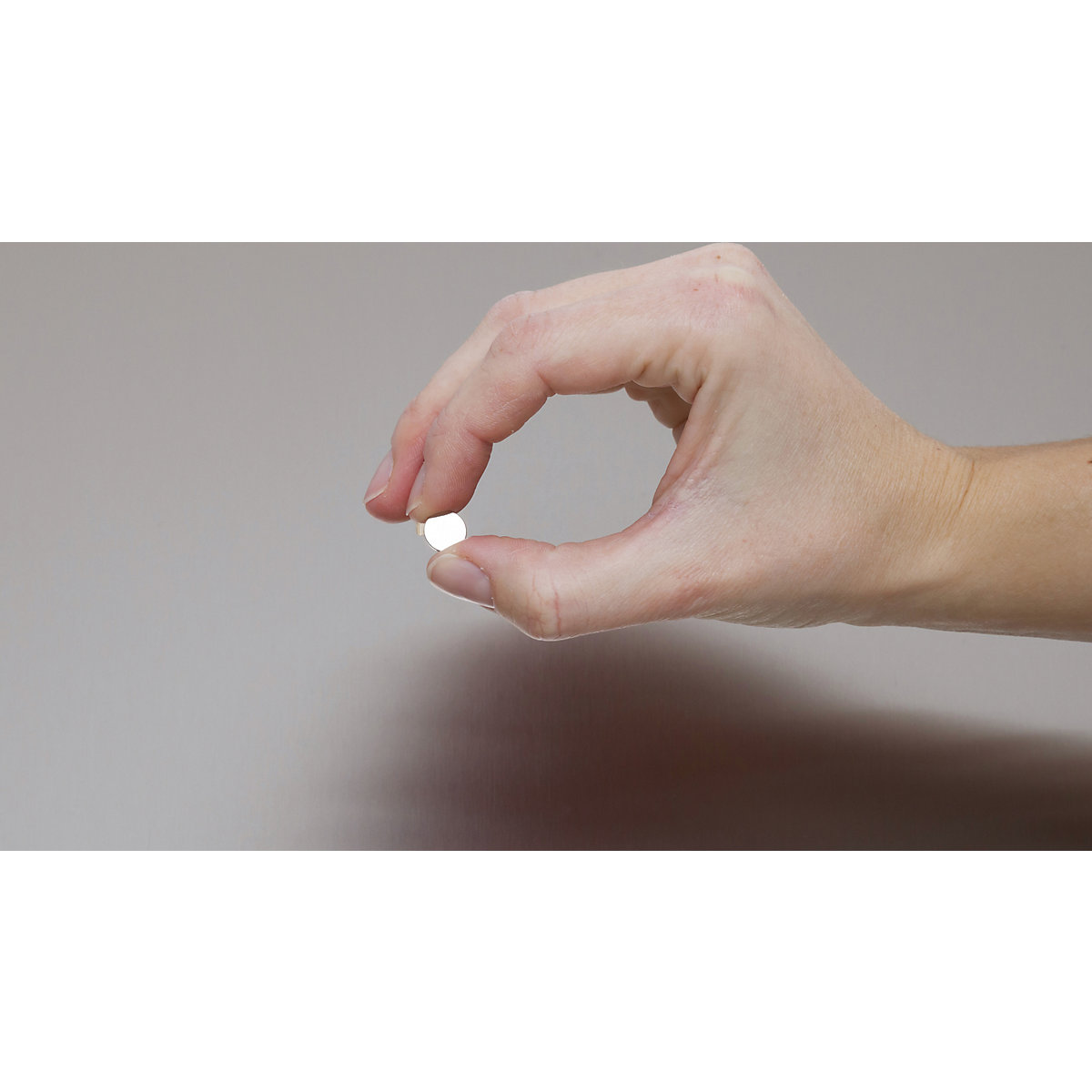 Neodýmový štítkový magnet – MAUL (Zobrazenie produktu 3)-2