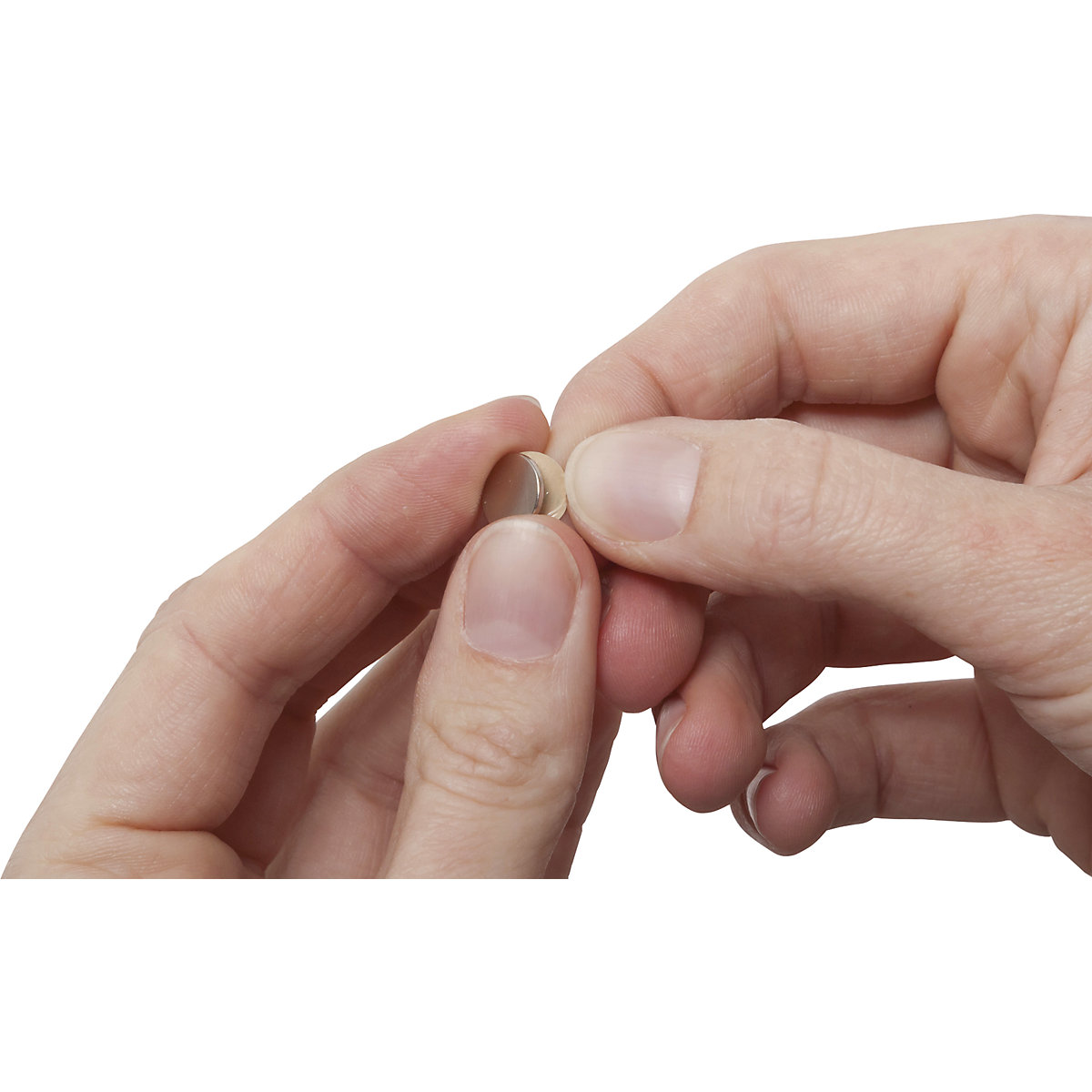 Neodýmový štítkový magnet – MAUL (Zobrazenie produktu 4)-3