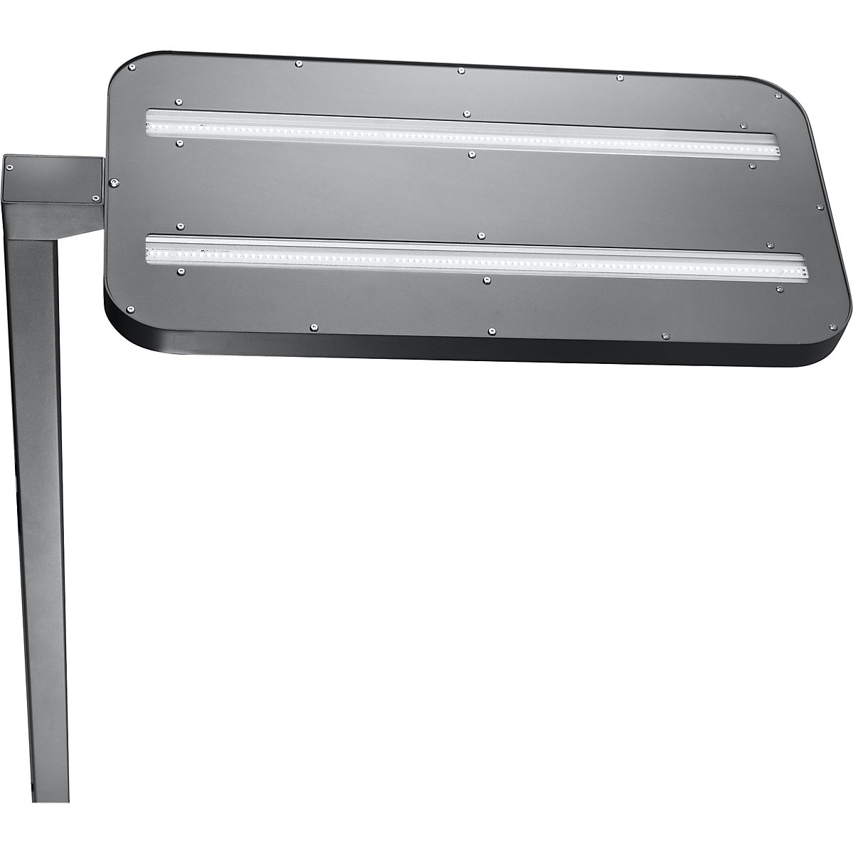 Staande LED-lamp Saffier Plus – Hansa (Productafbeelding 4)-3