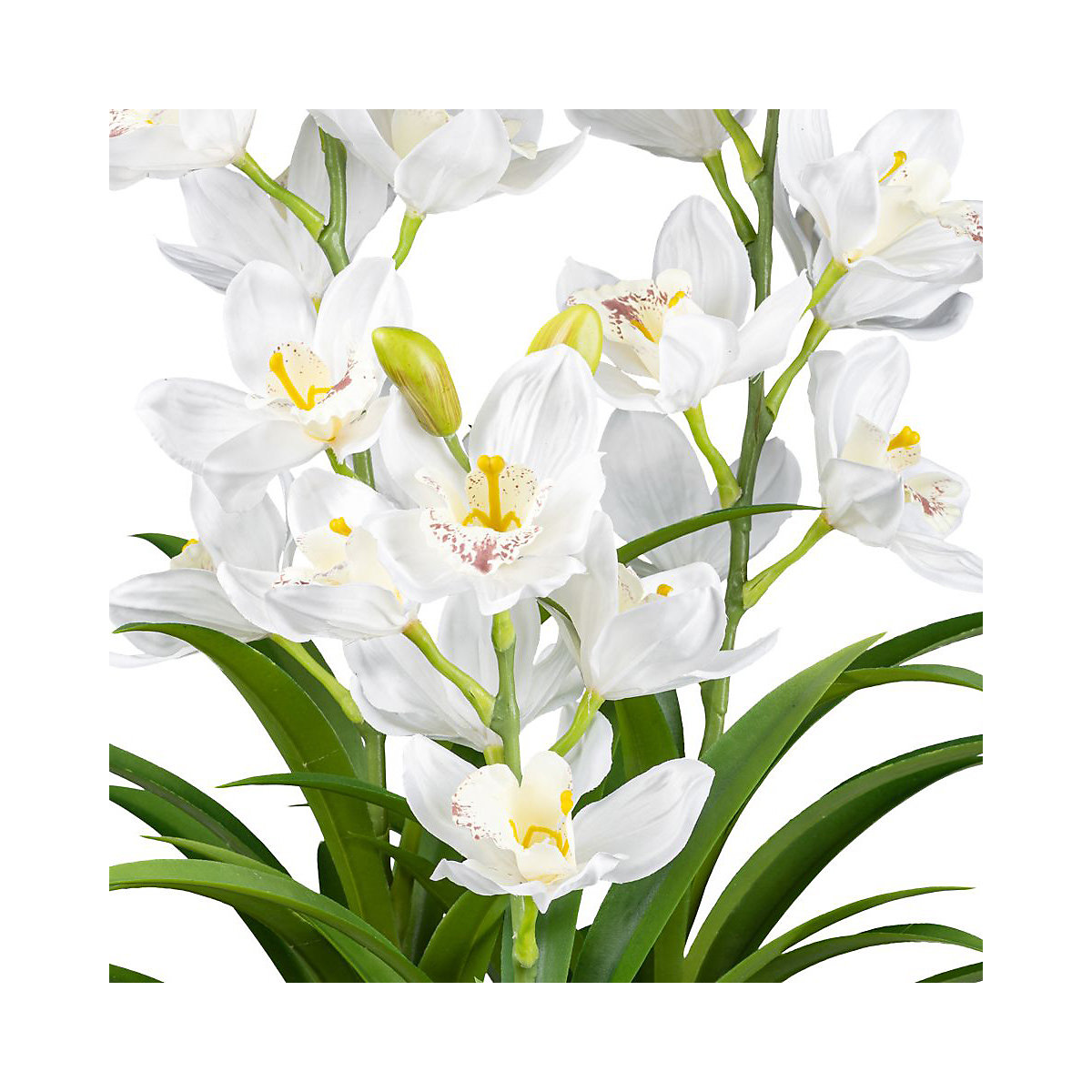Kunstmatige orchidee Cymbidium (Productafbeelding 3)-2