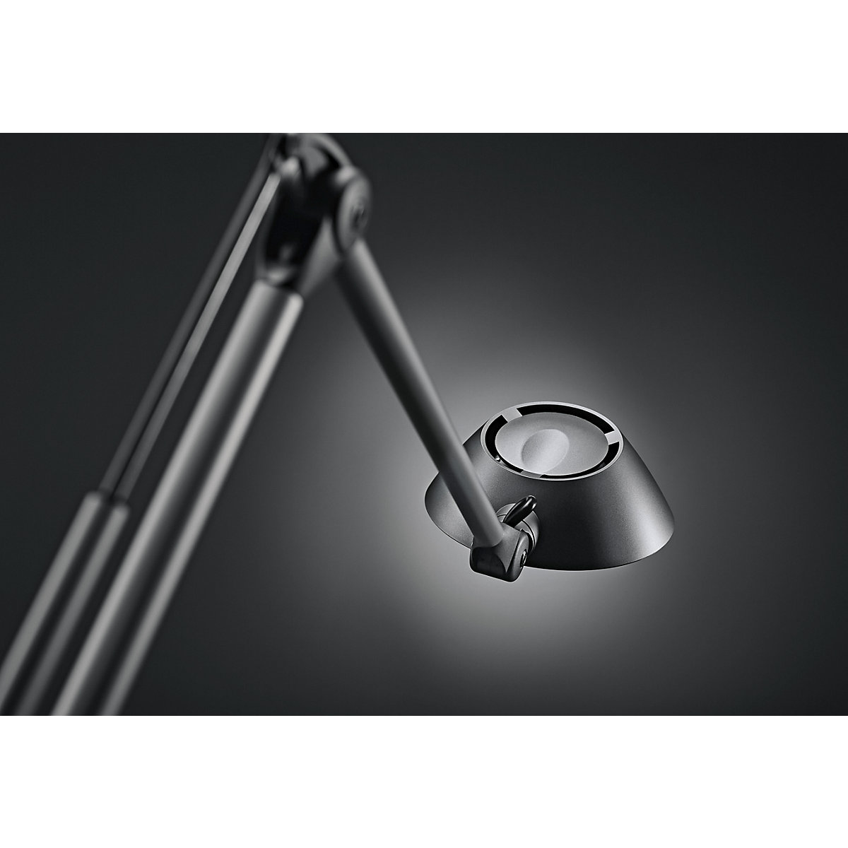 LED-tafellamp BLOSSOM – Hansa (Productafbeelding 2)-1