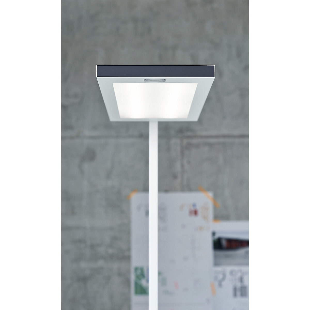 Staande LED-lamp LAVIGO – Waldmann (Productafbeelding 2)-1