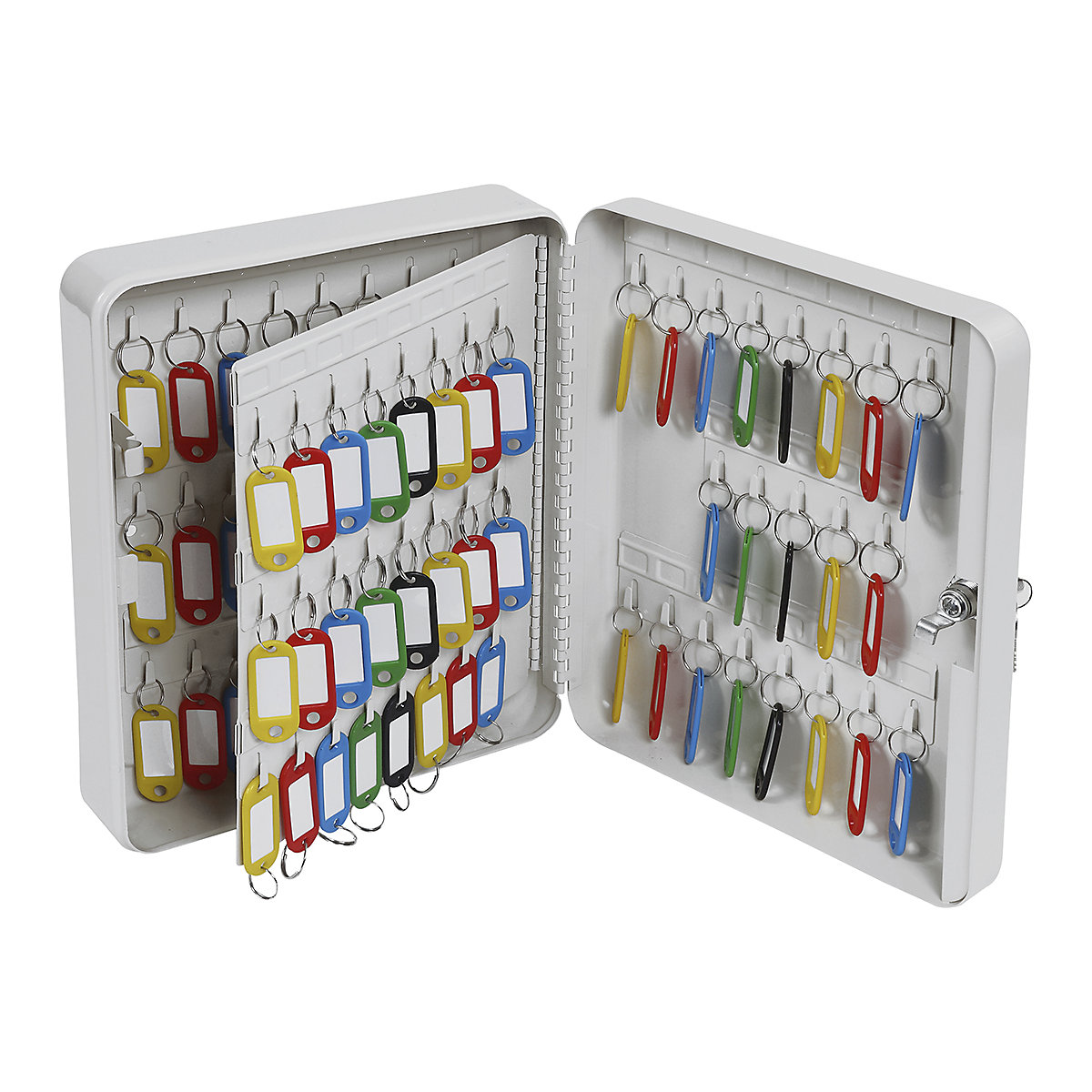 Phoenix Key Boxes, Phoenix Key Boxes, Phoenix Key Box | 300h x 240w x 80d mm | KC0028K | 93 Hooks | Door to Door-10
