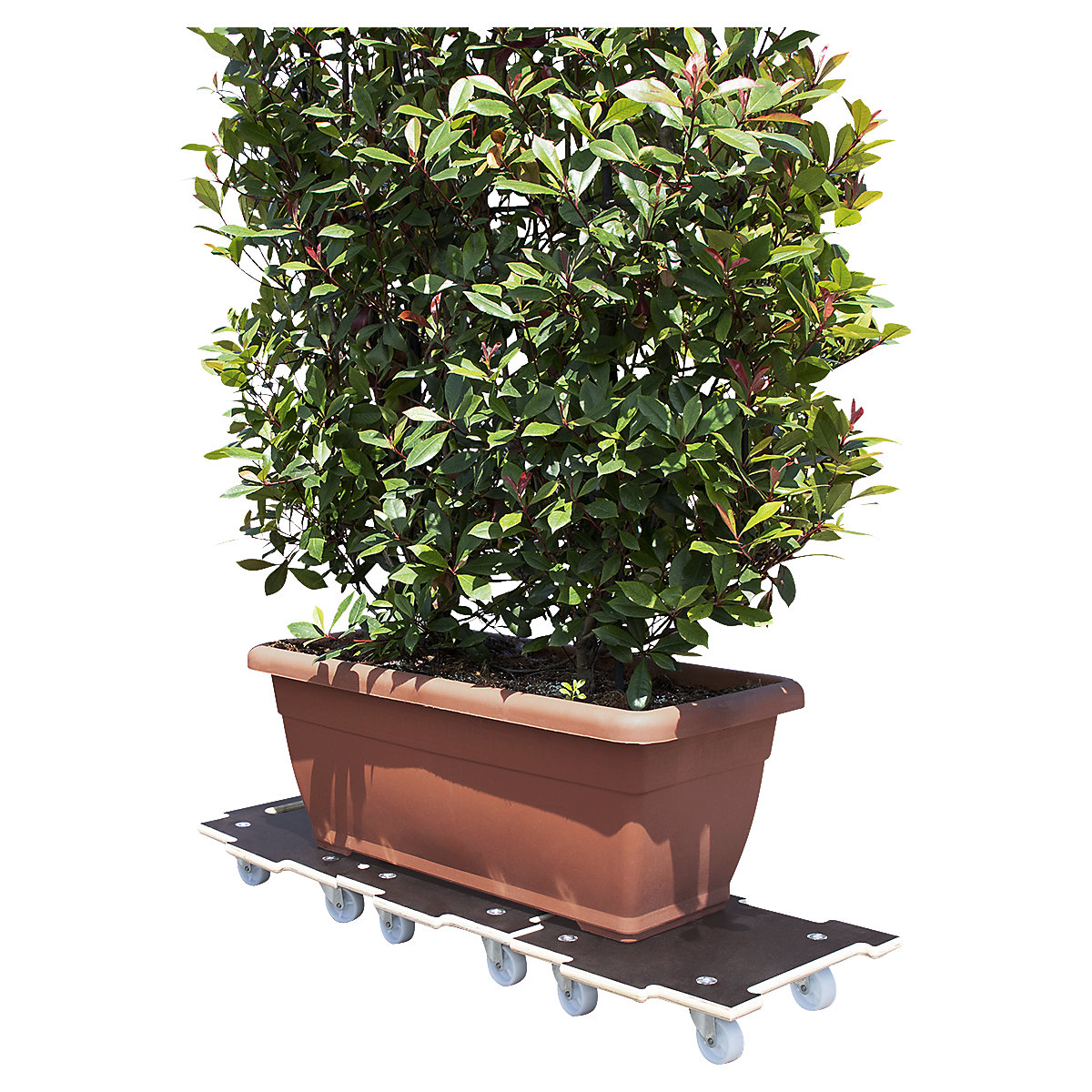 Plateau roulant CONNECT avec MaxiGRIP – Wagner (Illustration du produit 11)-10