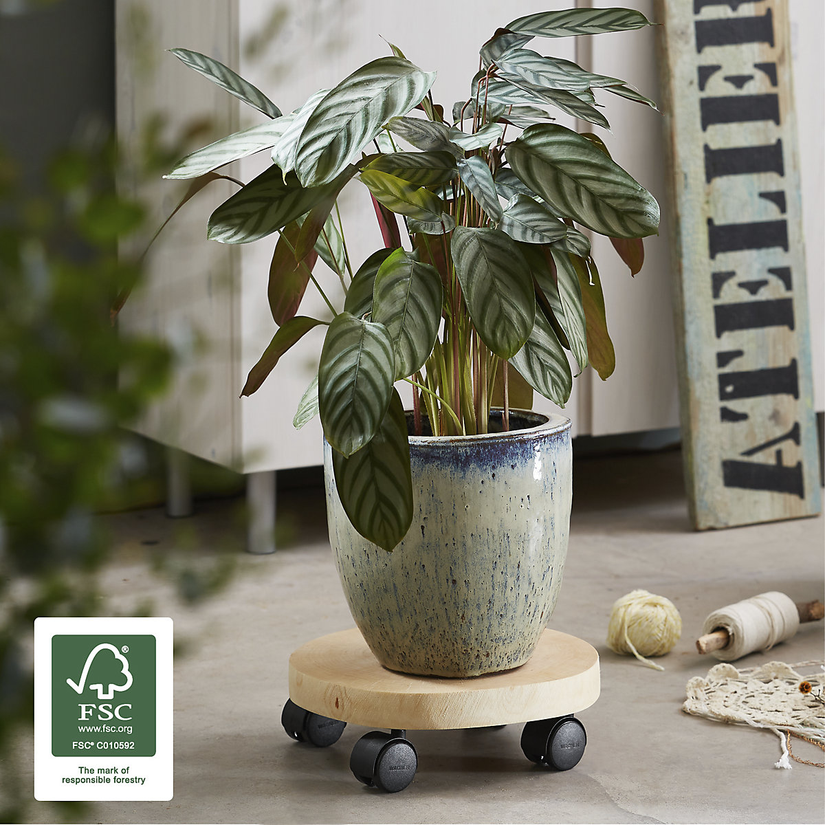 Plateau roulant pour plantes BAUMSTAMM – Wagner (Illustration du produit 3)-2