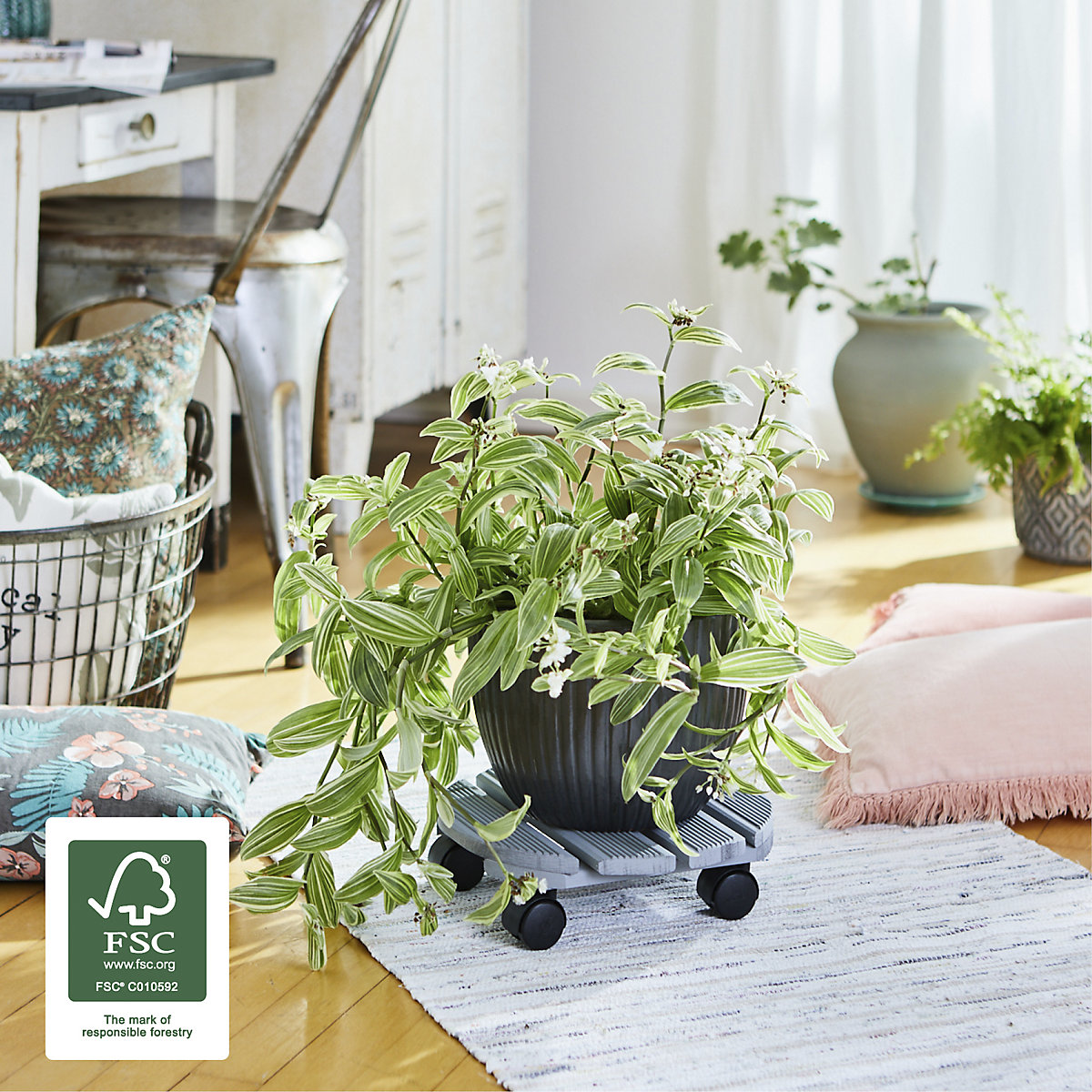 Plateau roulant pour plantes CREO – Wagner (Illustration du produit 3)-2