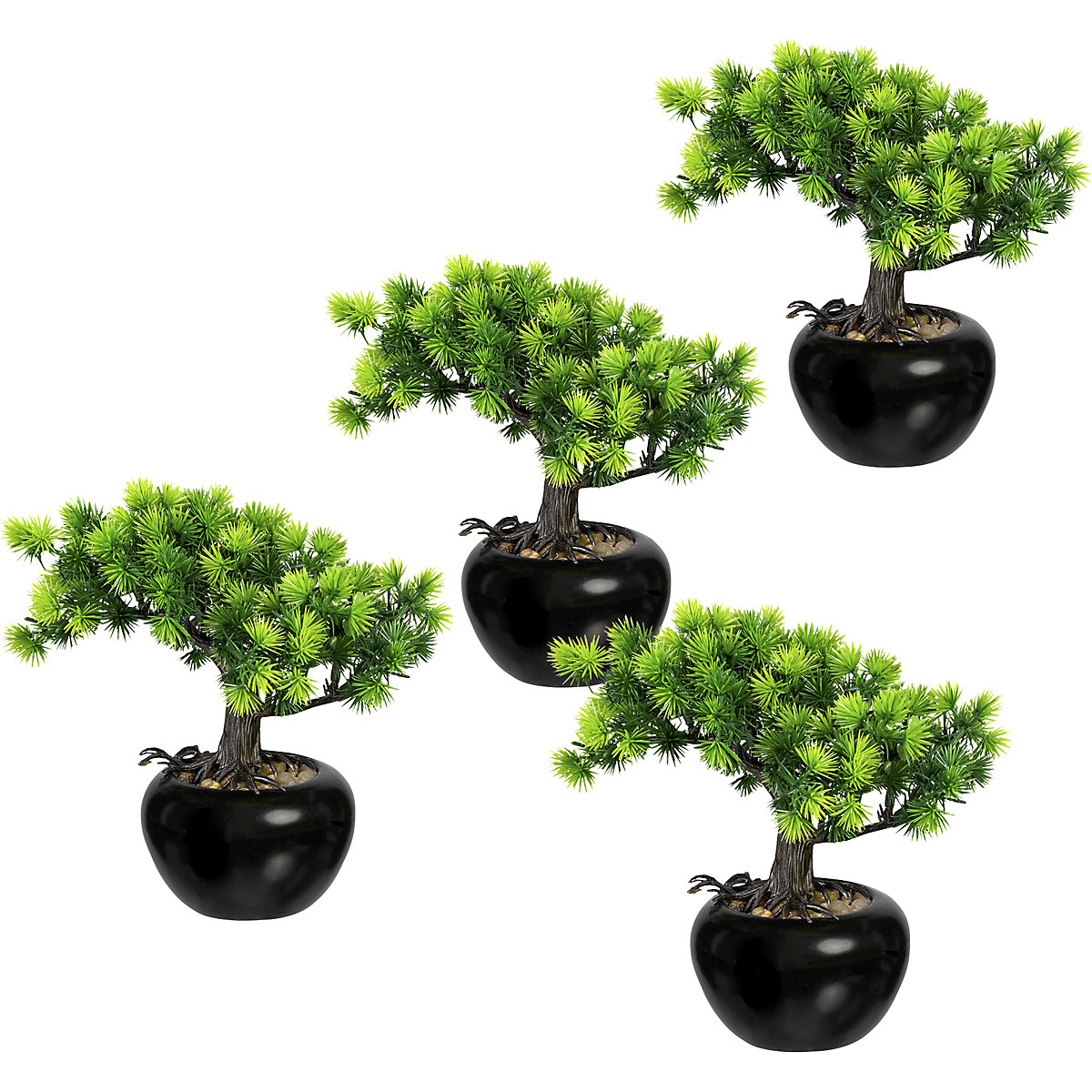 Bonsái alerce, Ø del recipiente 100 mm, UE 4 unid., altura 190 mm-0