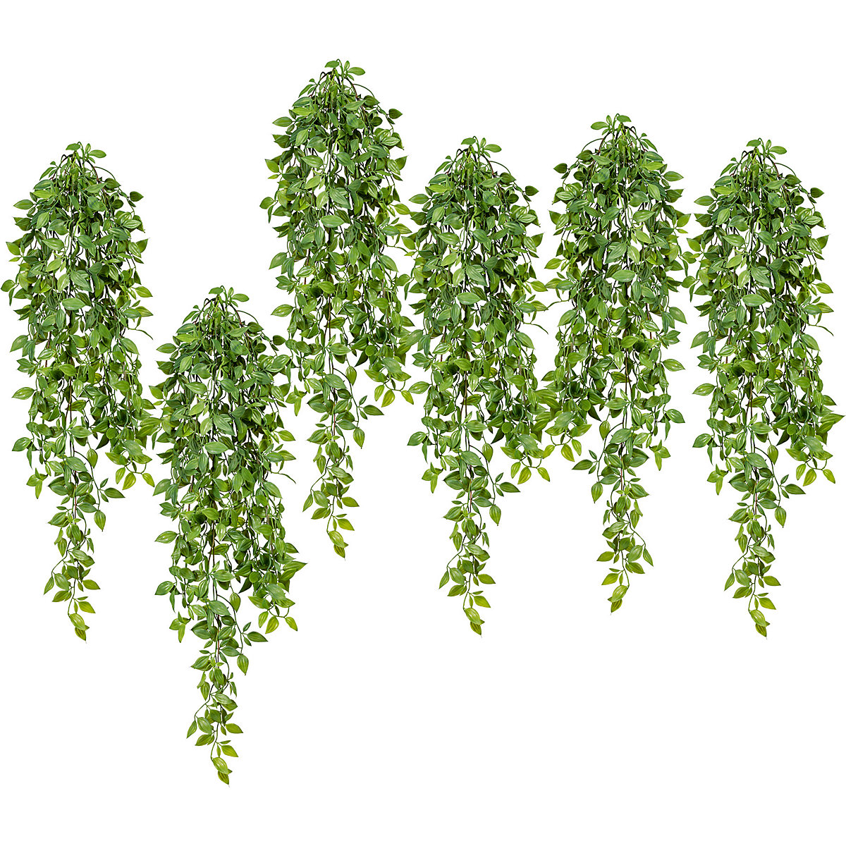 Epipremnum colgante de hoja pequeña, UE 6 unid., longitud aprox. 800 mm, verde-0