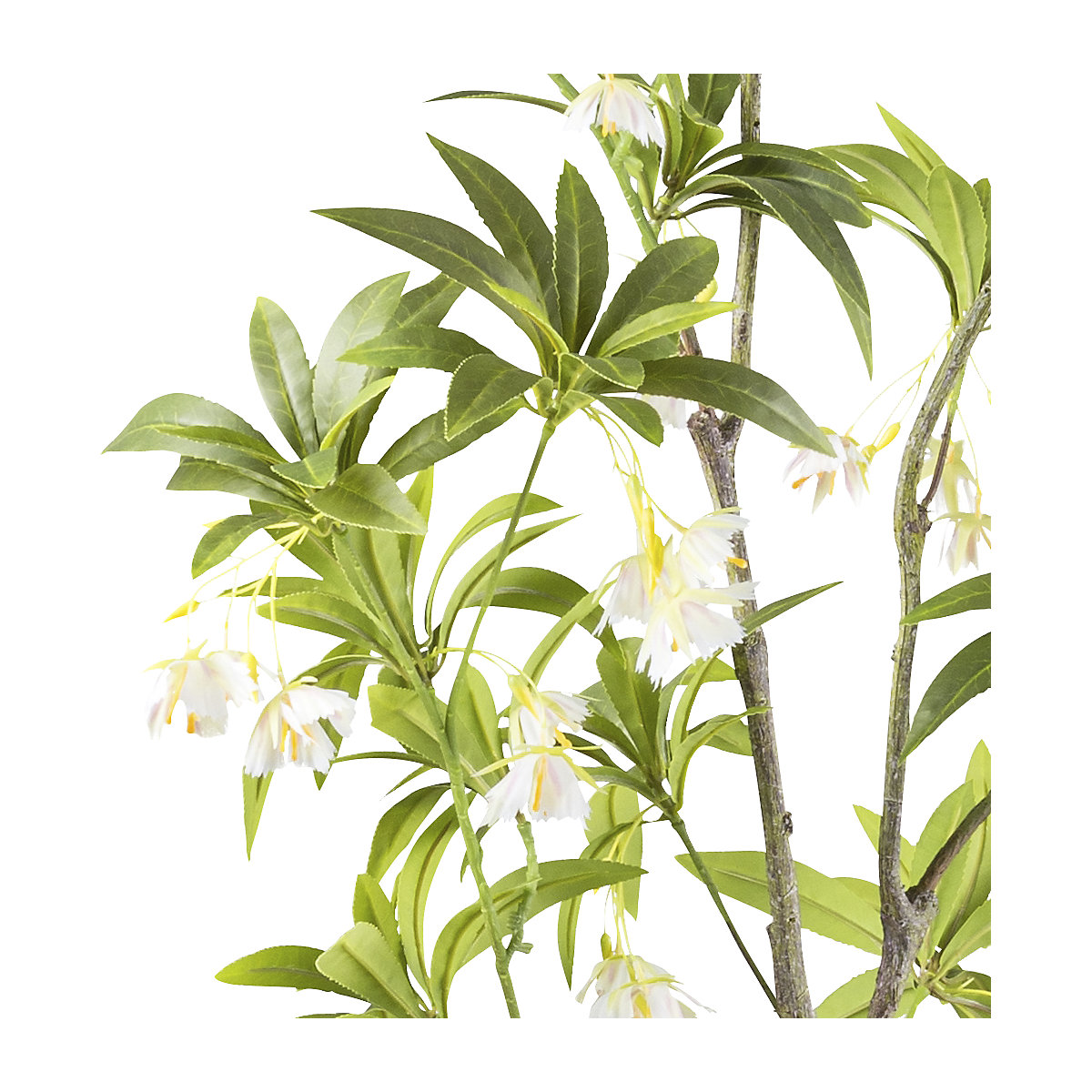 Planta artificial, árbol Elaeocarpus (Imagen del producto 2)-1