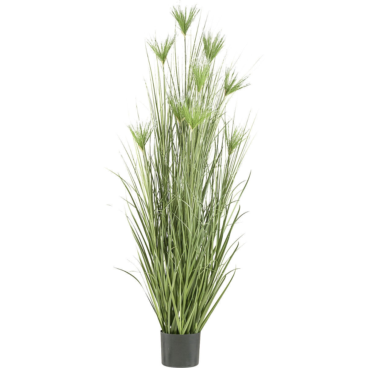 Planta artificial, hierba Cyperus longus, maceta de plástico, altura 2100 mm-0
