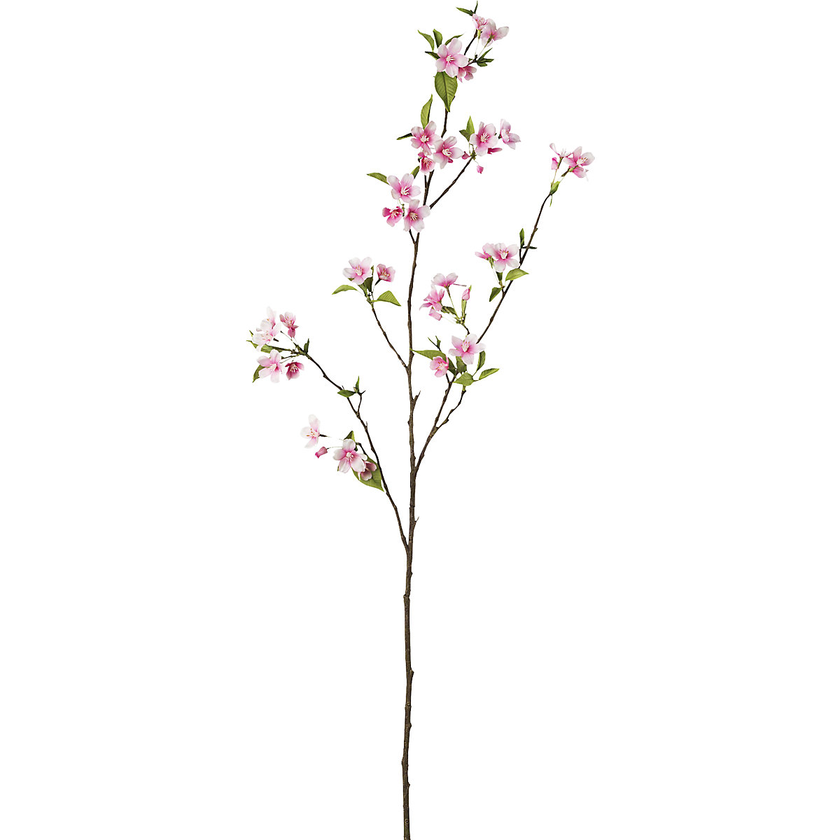 Ramas de peral de plástico (Imagen del producto 2)-1
