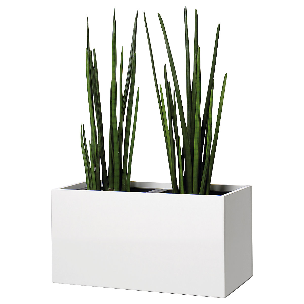 Recipiente para plantas (Imagen del producto 2)-1