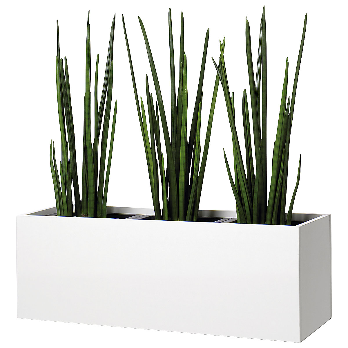 Recipiente para plantas (Imagen del producto 2)-1