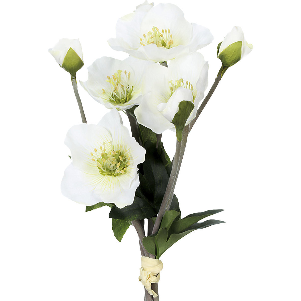 Rosas de Navidad (Imagen del producto 2)-1