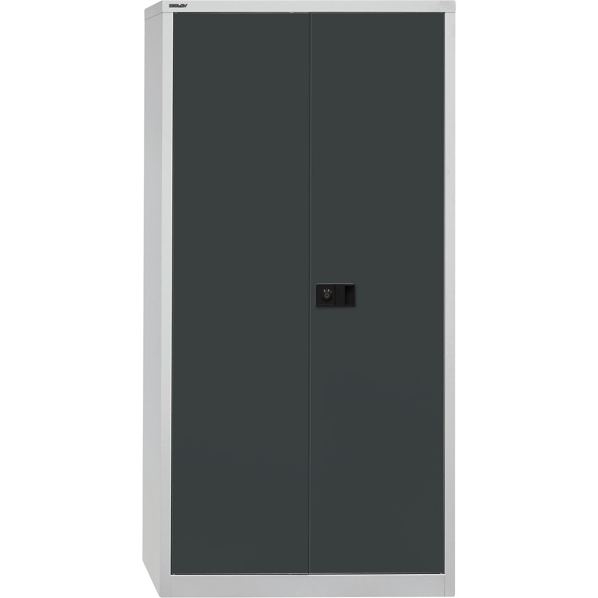 Dulap cu uși cu canaturi UNIVERSAL – BISLEY (Imagine produs 2)-1