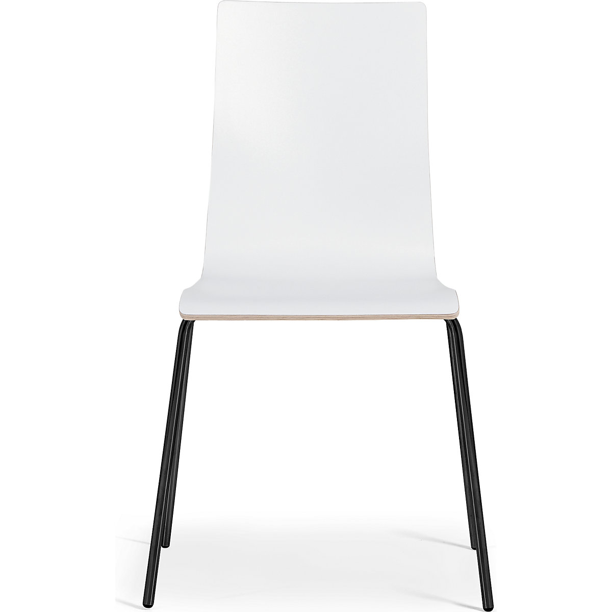 Silla de carcasa Alma (Imagen del producto 3)-2