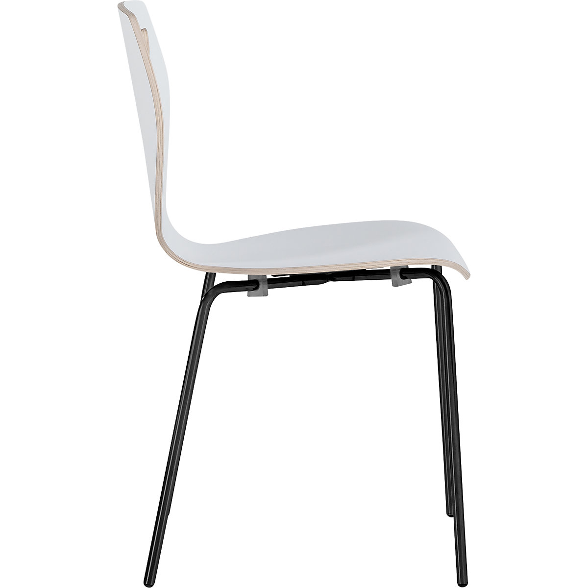Silla de carcasa Laura (Imagen del producto 3)-2