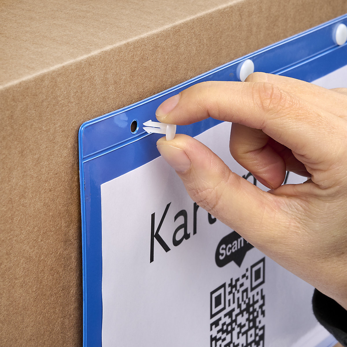 Plastic pins, pack of 100 (Product illustration 3)-2