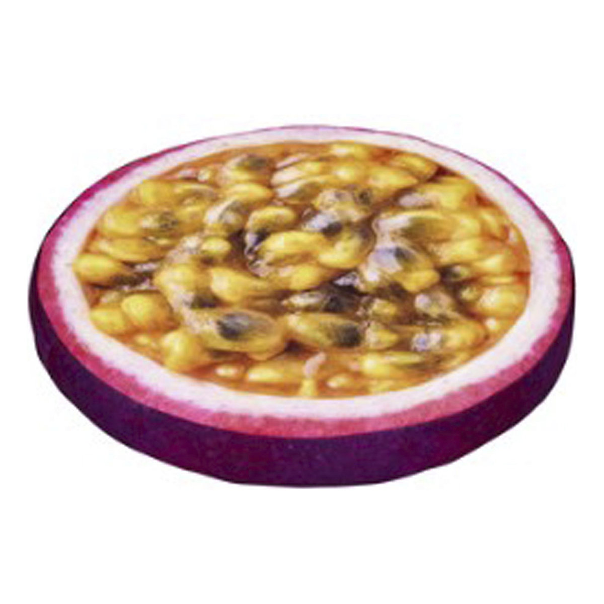 Tropical Soft Seating Pad (Set of 10) (Product illustration 5)-4
