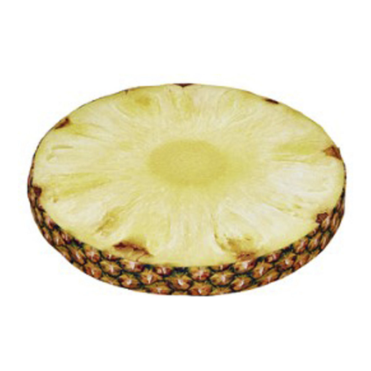 Tropical Soft Seating Pad (Set of 10) (Product illustration 4)-3