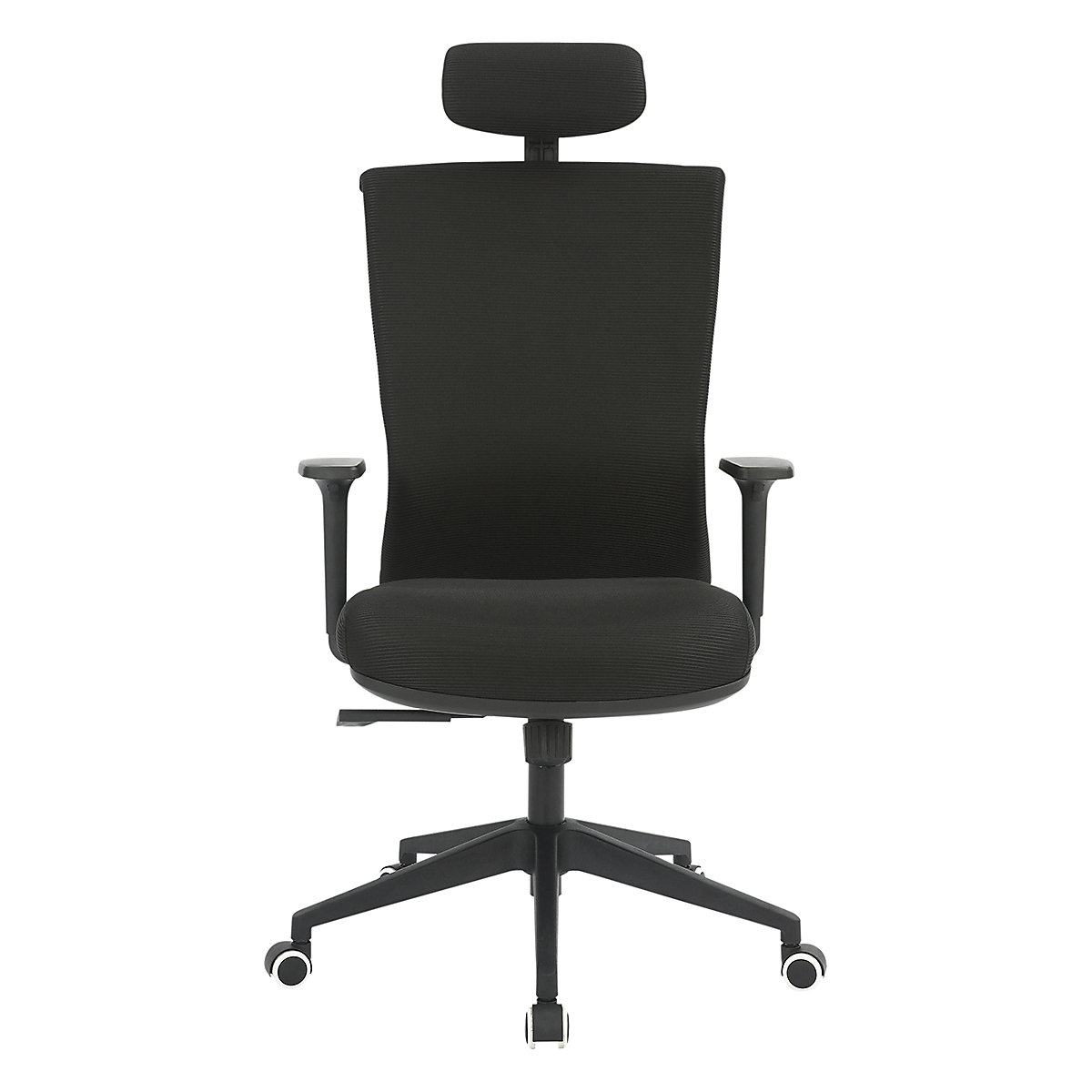 Santiago Ergonomic Posture Chair (Product illustration 2)-1