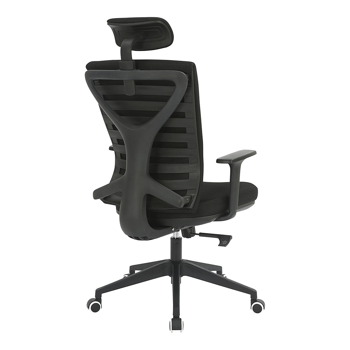 Santiago Ergonomic Posture Chair (Product illustration 4)-3
