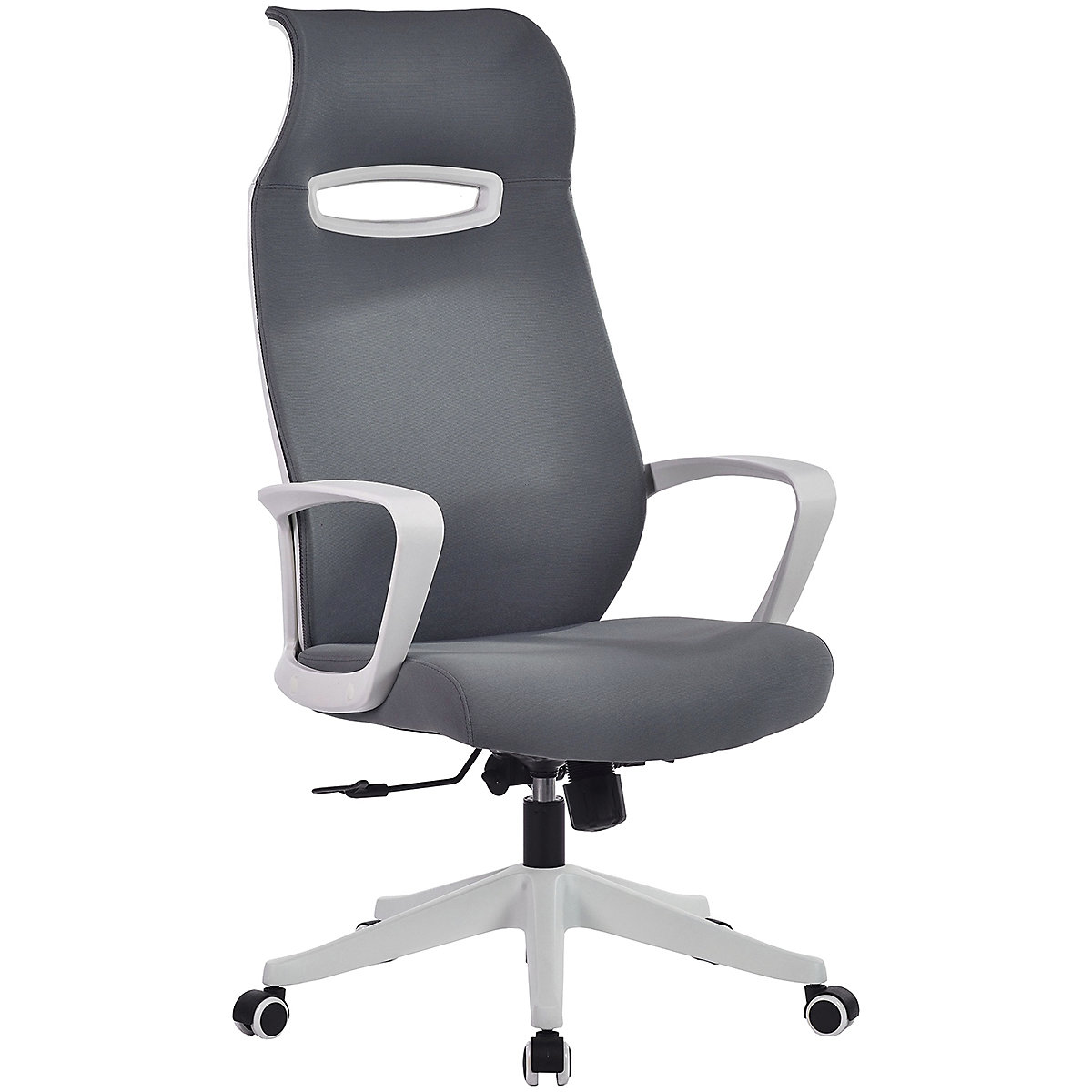 Spectra Mesh Office Chair Lumbar Support, Spectra Mesh Office Chair Lumbar Support, Spectra Mesh Office Chair | Grey-1