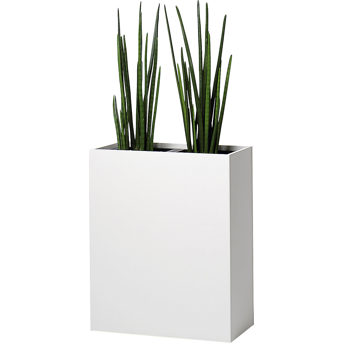 Plant pot (Product illustration 2)-1