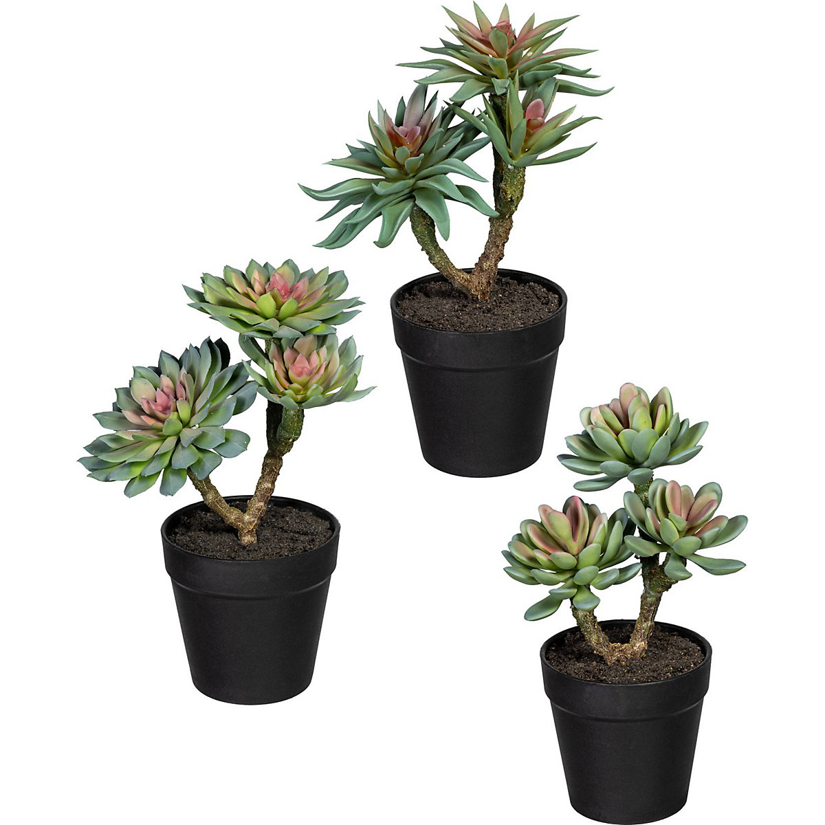Succulents on a trunk, pack of 3, height 220 – 240 mm, green pink, plastic pot-0