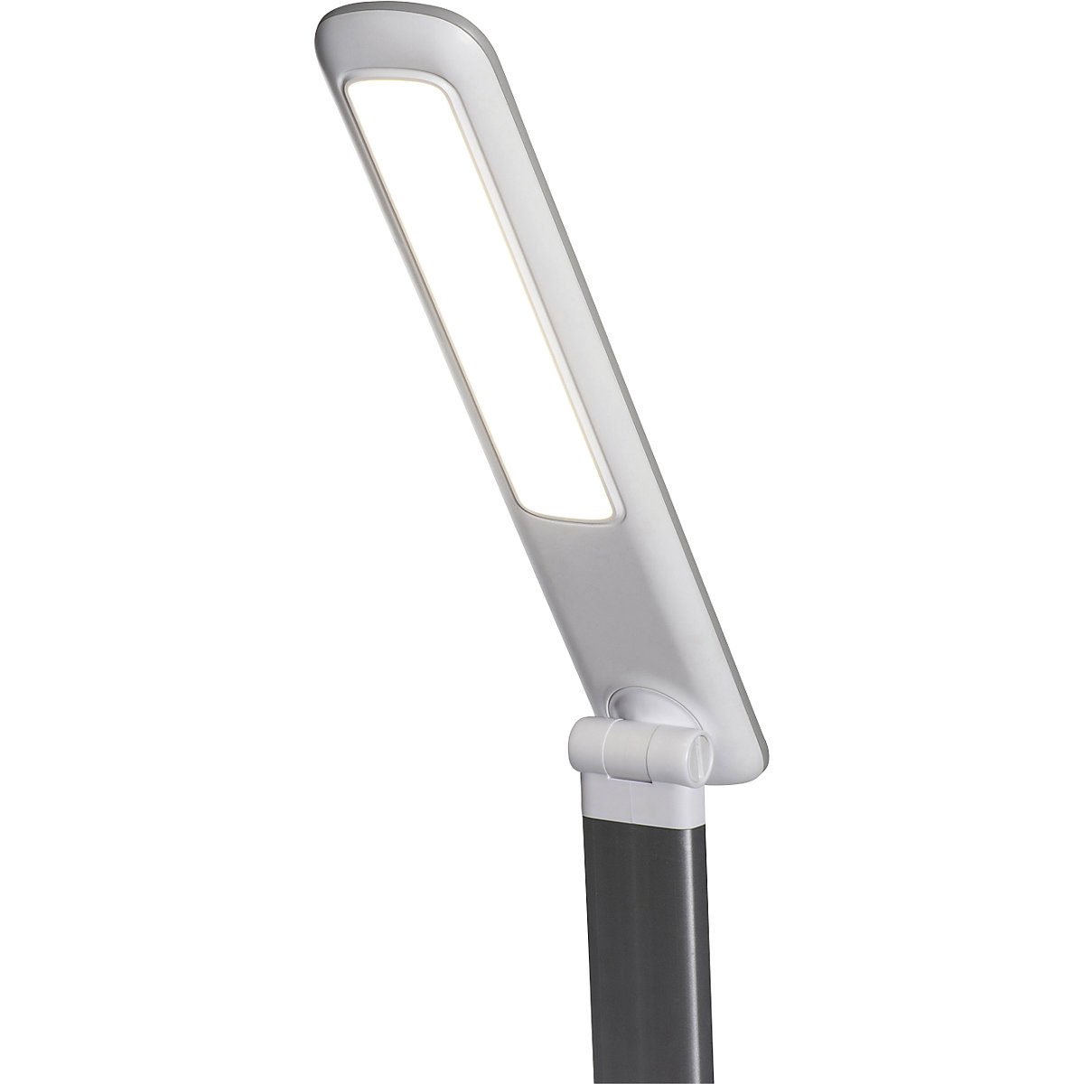 MAULjazzy LED desk lamp – MAUL (Product illustration 4)-3