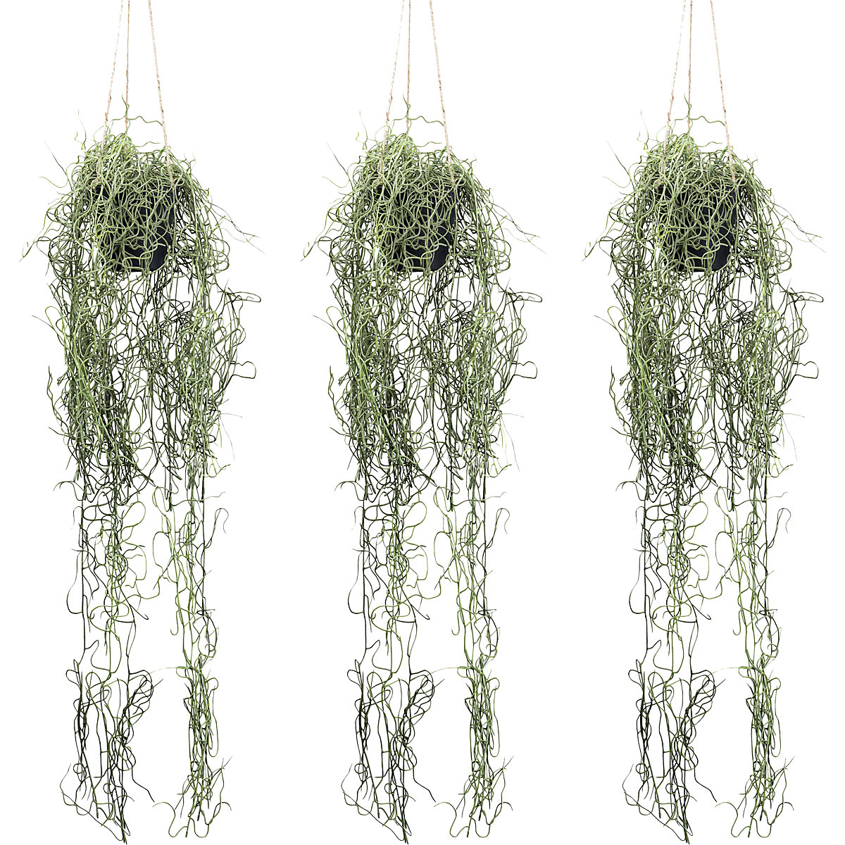 Tillandsia colgante artificial