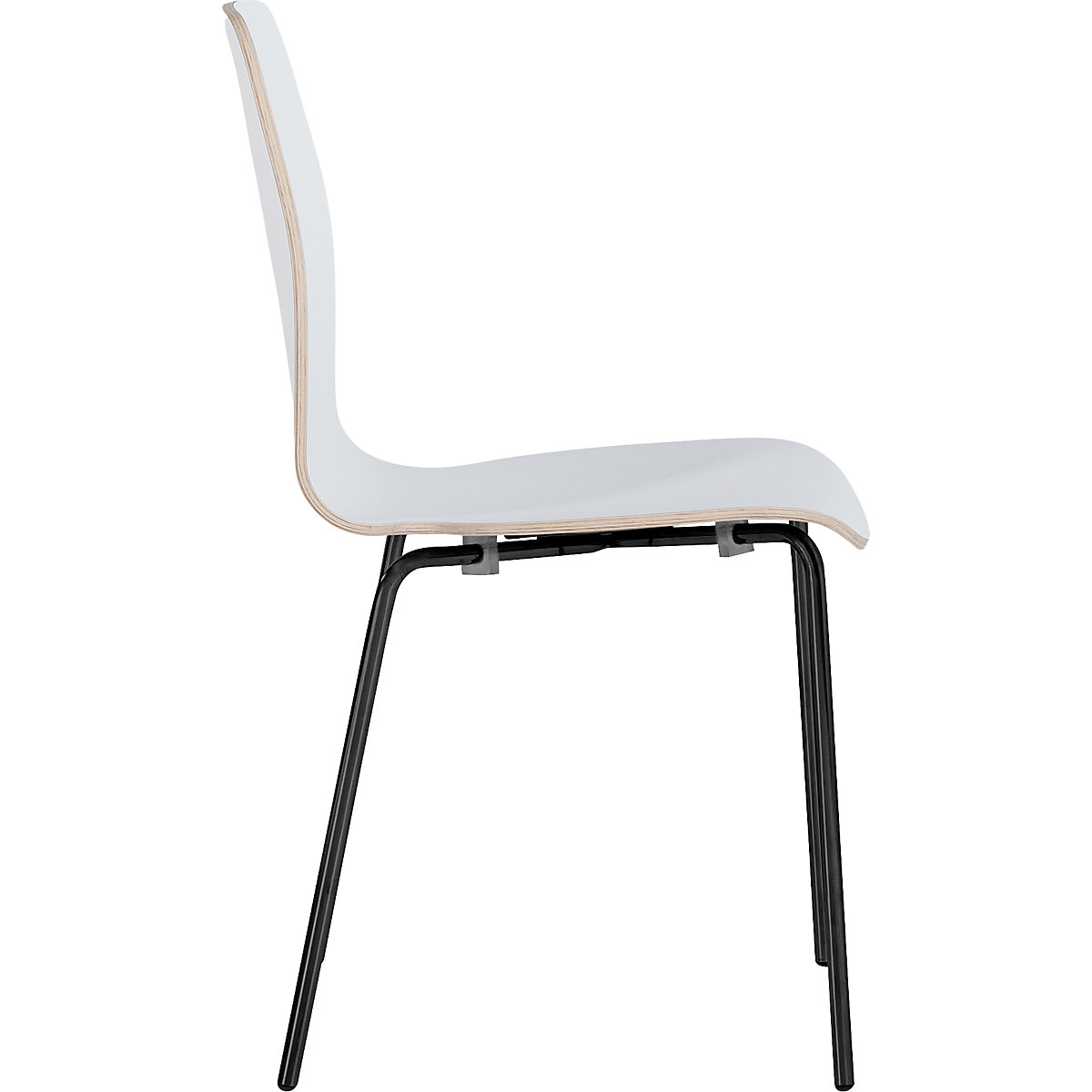 Silla de carcasa Alina (Imagen del producto 3)-2