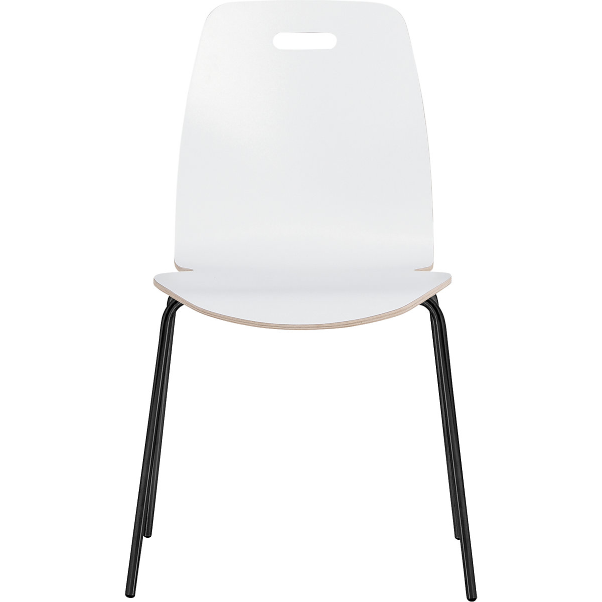 Silla de carcasa Alina (Imagen del producto 4)-3