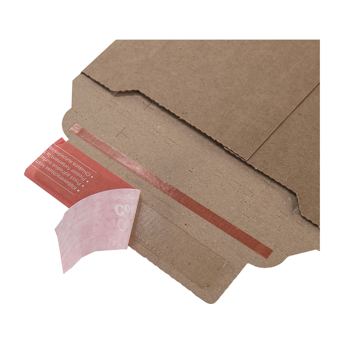 ColomPac® CP 010 Rigid Envelopes (Product illustration 7)-6