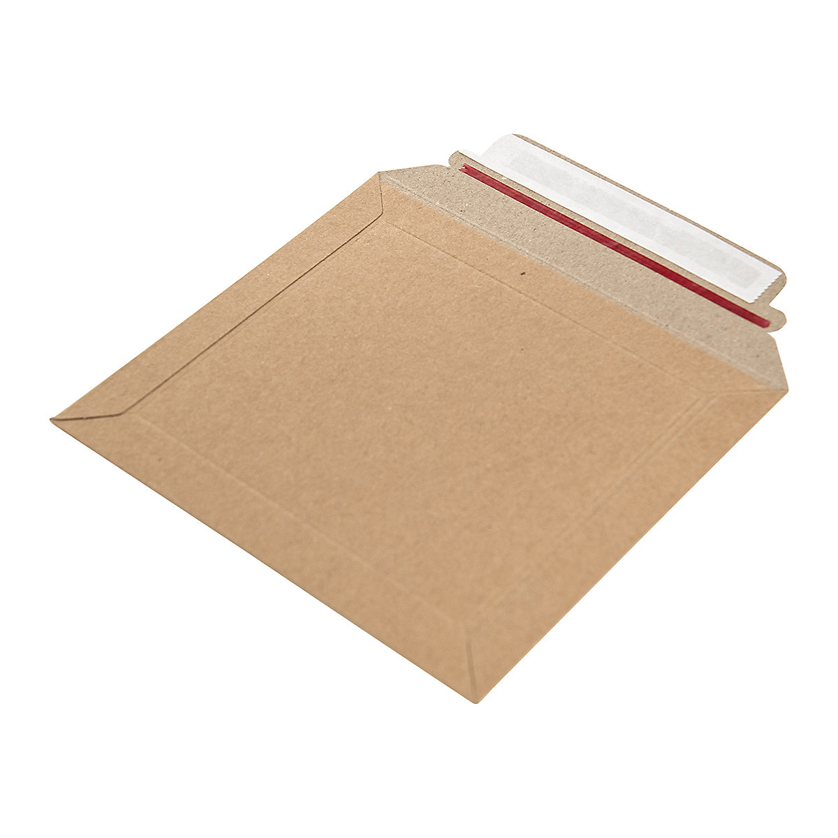 BiGDUG Essentials Board Back Envelopes