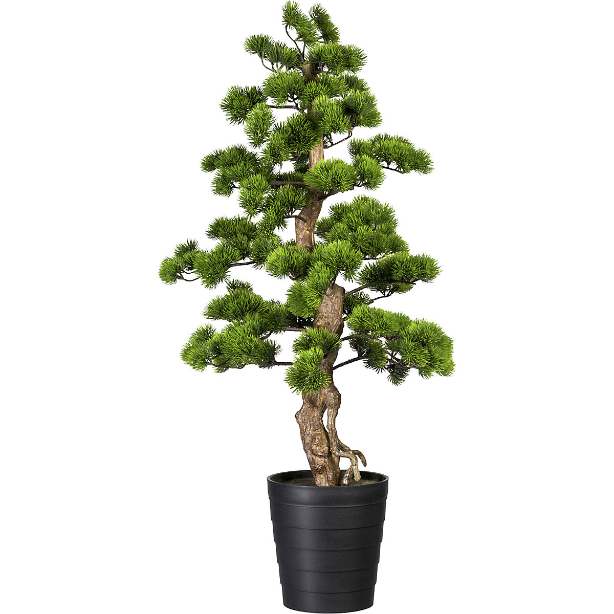 Bonsai den
