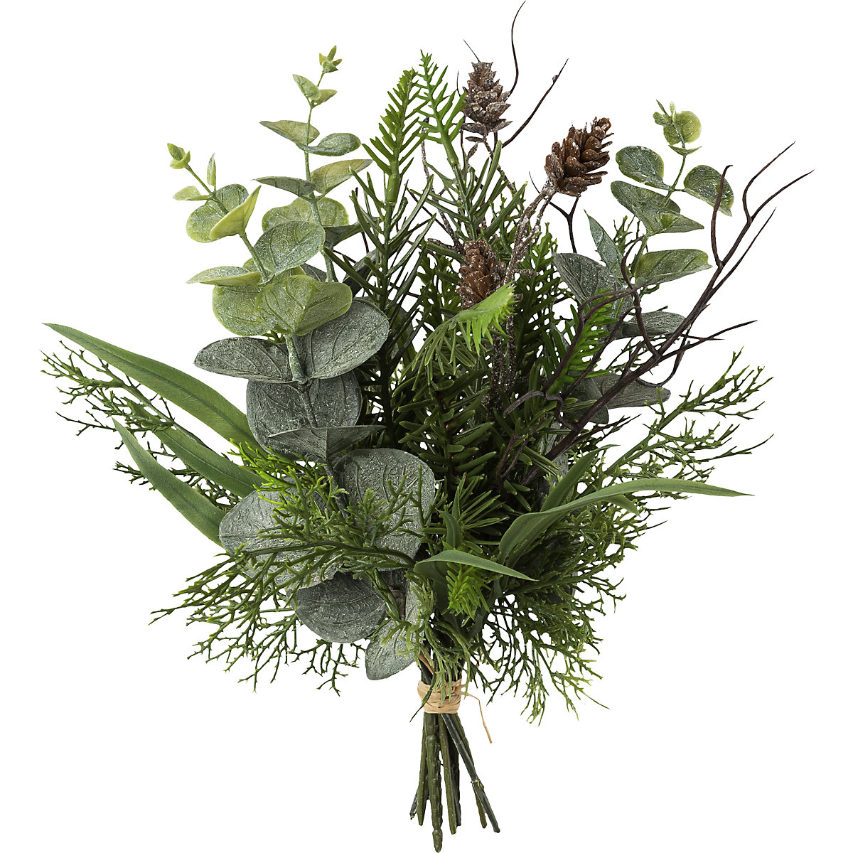 Eucalyptus-dennenbos met kegels (Productafbeelding 2)-1
