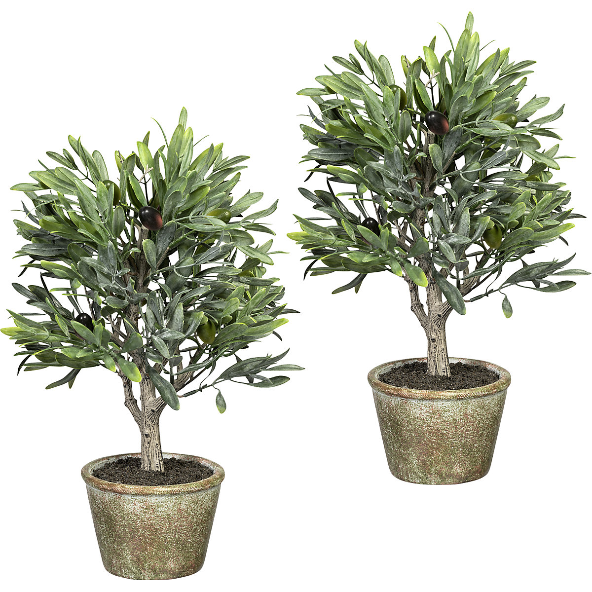 Olijfboompje, VE = 2 stuks, met 7 olijven, hoogte 370 mm, natuurlijke pot 115 x 85 mm-0