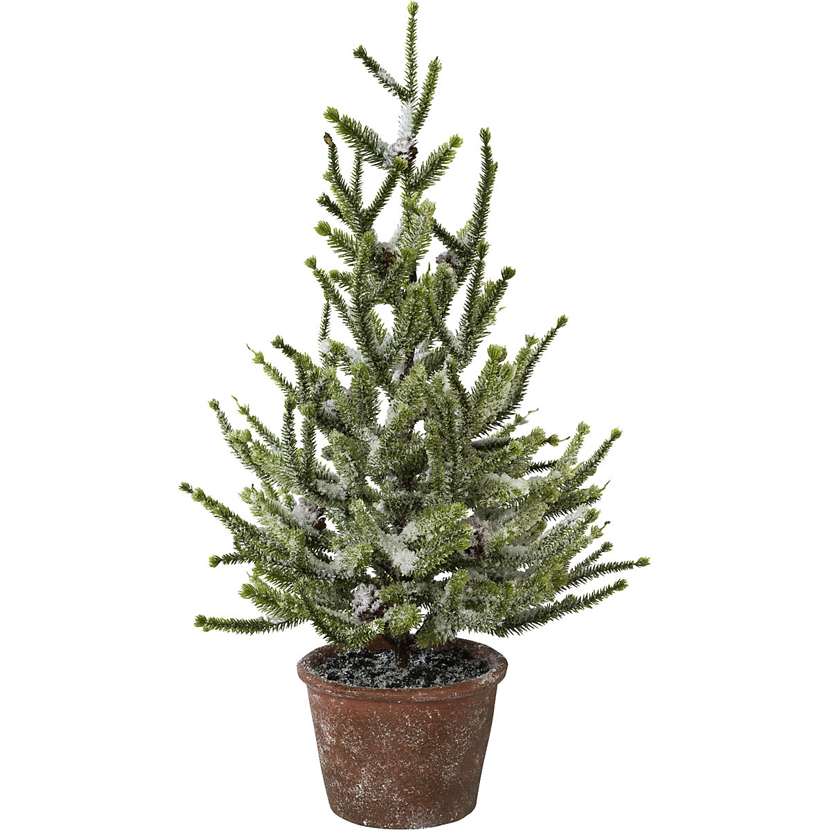 Spar in een pot