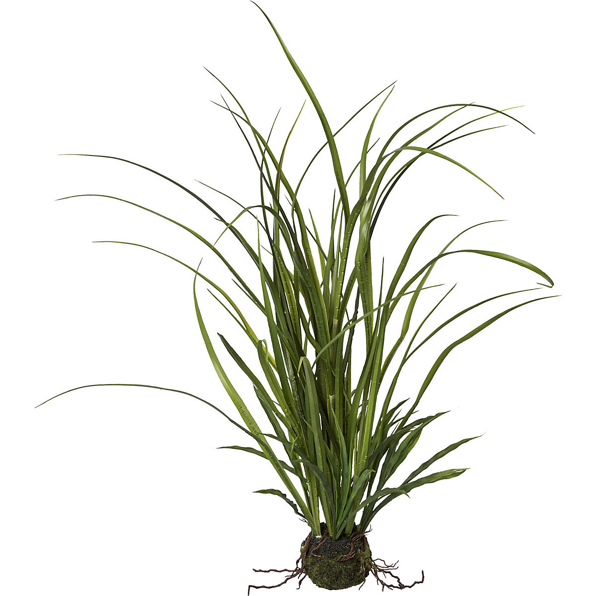 Weidegras met kluit (Productafbeelding 2)-1