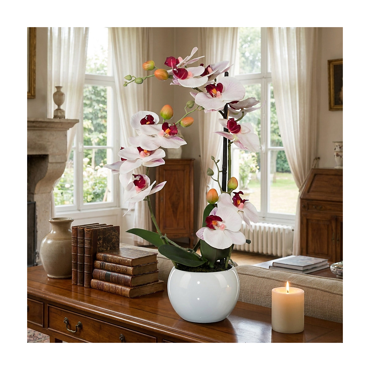 Orhideja Phalaenopsis (Slika izdelka 4)-3