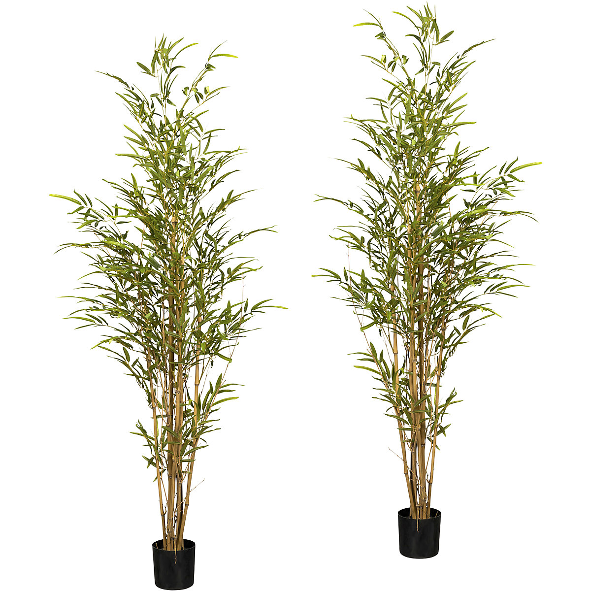 Bambus, naravna stebla, lonec iz umetne mase 130 x 115 mm, DE 2 kosa, višina 1500 mm