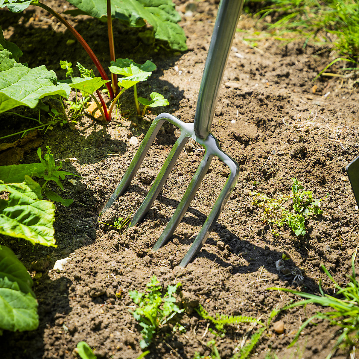 Sealey Premier Stainless Steel Garden Tools with Ash Handles | FSC-Certified (Product illustration 7)-6