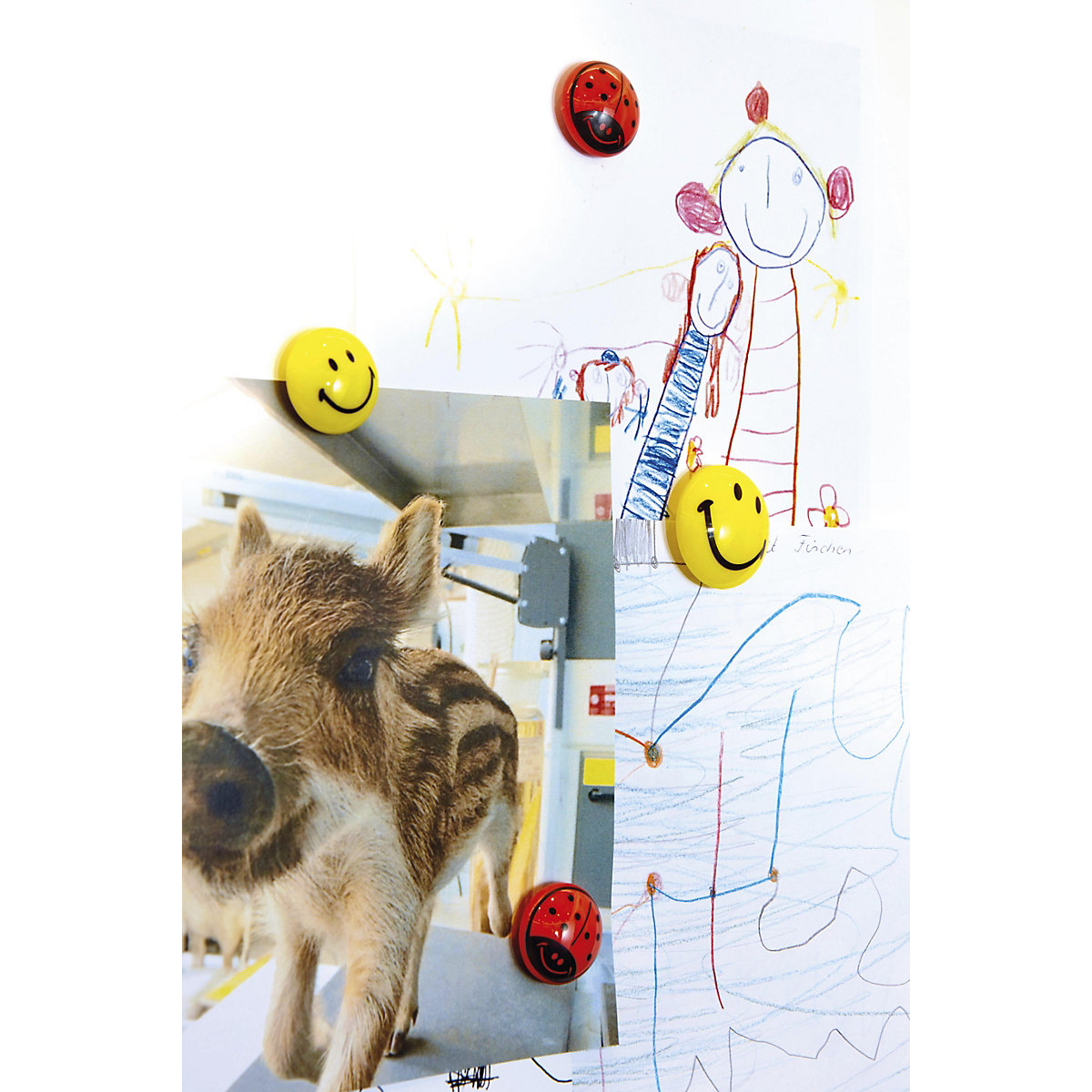 Okrúhly magnet – magnetoplan (Zobrazenie produktu 3)-2
