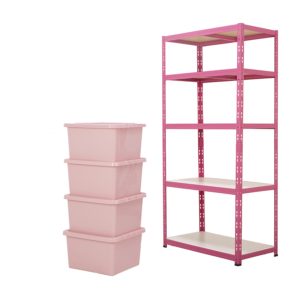 BIGDUG Pink with Purpose Shelving