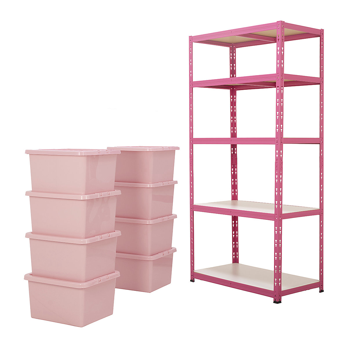 BIGDUG Pink with Purpose Shelving