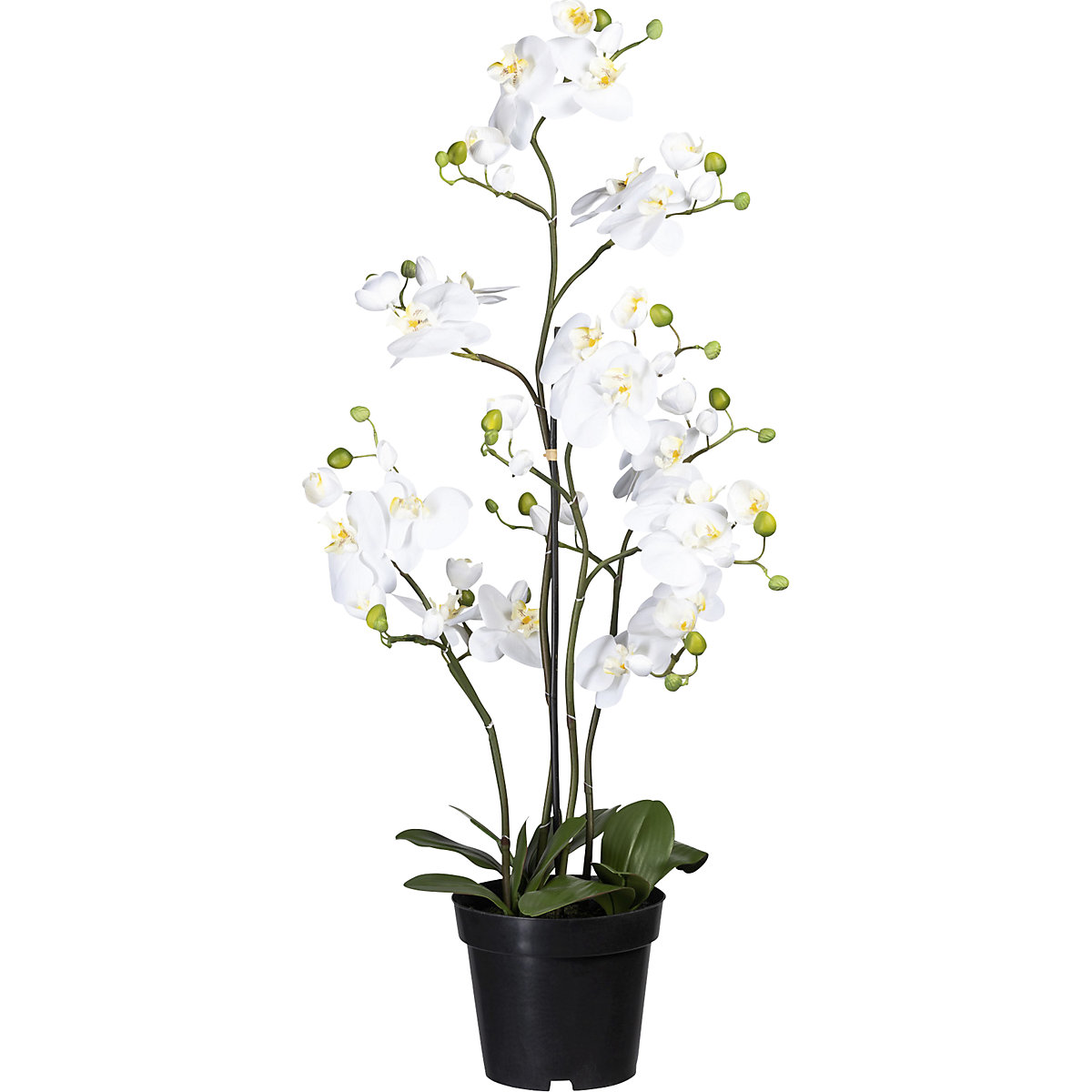 Artificial plant – true to nature replica